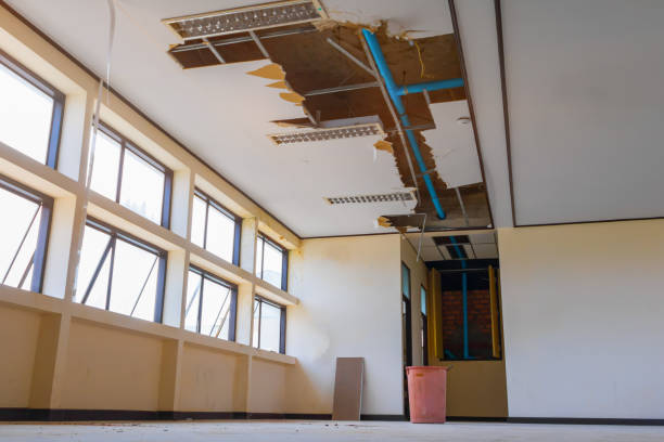 Best Local water damage restoration  in South Dennis, MA