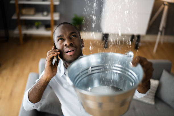 Best Sewage cleanup and water damage restoration  in South Dennis, MA
