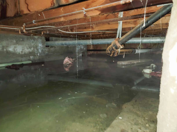 Best Commercial water damage restoration  in South Dennis, MA