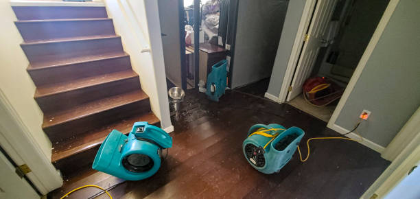 Best Water damage restoration process  in South Dennis, MA