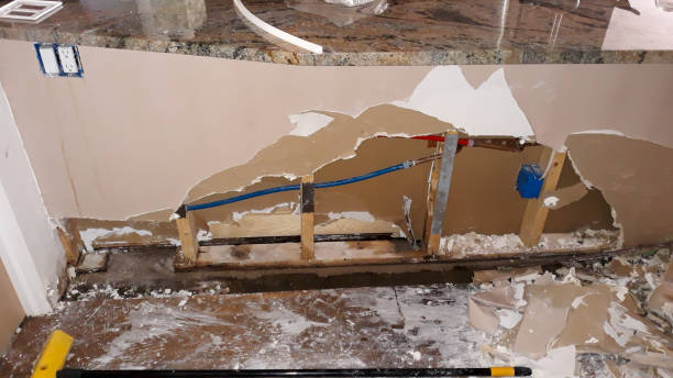 Best Mold removal after water damage  in South Dennis, MA