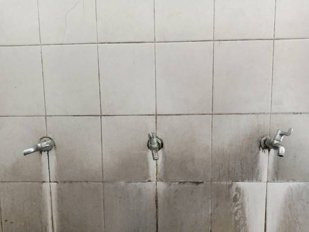 Best Flooded house restoration  in South Dennis, MA