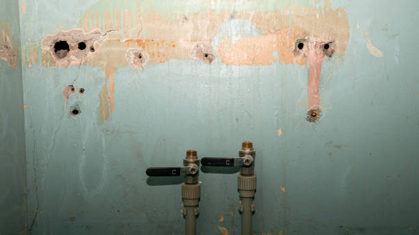 Best Water damage restoration near me  in South Dennis, MA