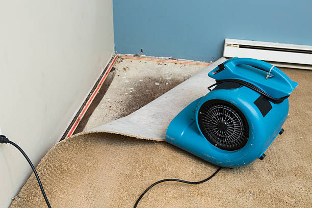 Best Residential water damage restoration  in South Dennis, MA